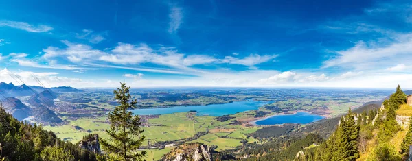 Зеленые поля Баварии в Германии — стоковое фото