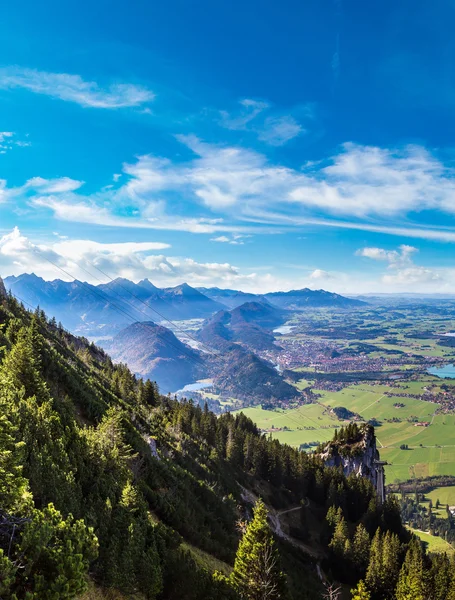 Альпы и лес в летний день в Германии — стоковое фото