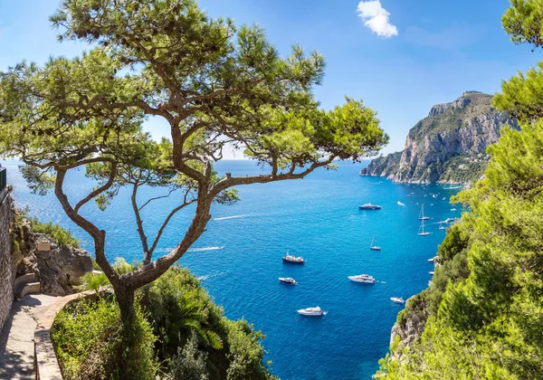 Insel Capri in Italien — Stockfoto