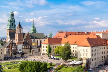 Krakow 'daki Wawel Katedrali