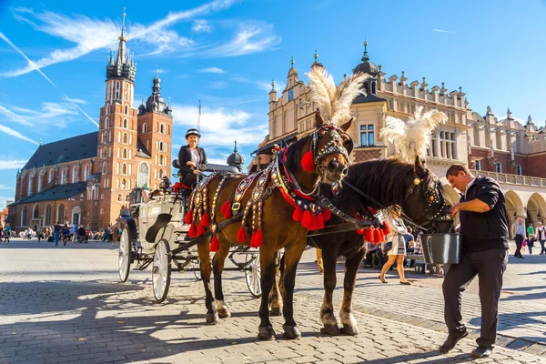 Paardenkoetsen op het centrale plein in Krakau — Stockfoto