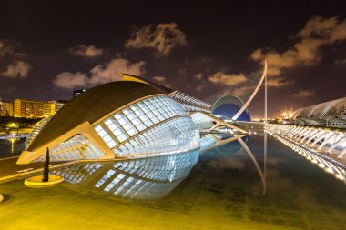 Valencia, İspanya 'da Sanat ve Bilim Şehri