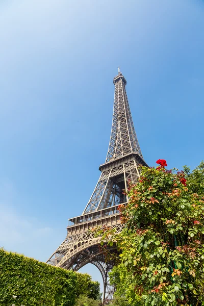 Eiffel tower on summer day — Stock Photo, Image