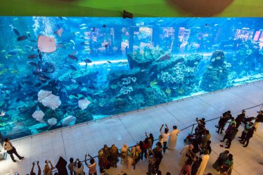 Dubai Mall alışveriş merkezinin en büyük alışveriş merkezi