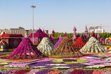 dubai mucize bahçesi