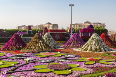 dubai mucize bahçesi