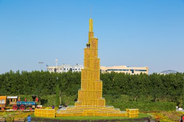 dubai mucize bahçesi