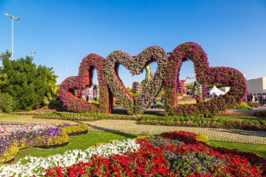 dubai mucize bahçesi