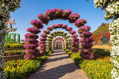 dubai mucize bahçesi