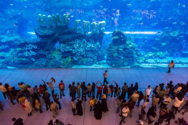 Dubai Mall alışveriş merkezinin en büyük alışveriş merkezi