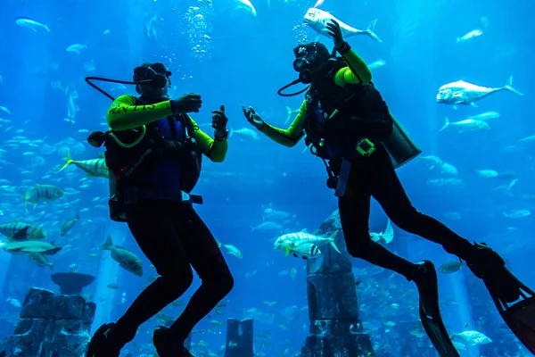 Gran acuario en el Hotel Atlantis en Dubai — Foto de Stock