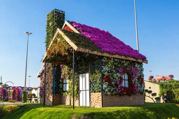 Dubai miracolo giardino — Foto Stock