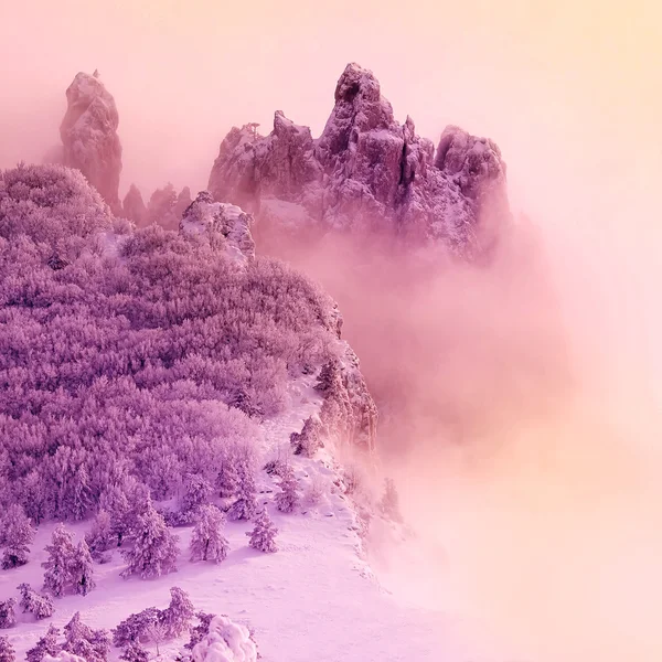 Mount en mist. — Stockfoto