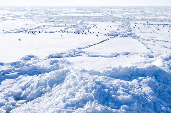 Замерзший морской пейзаж — стоковое фото