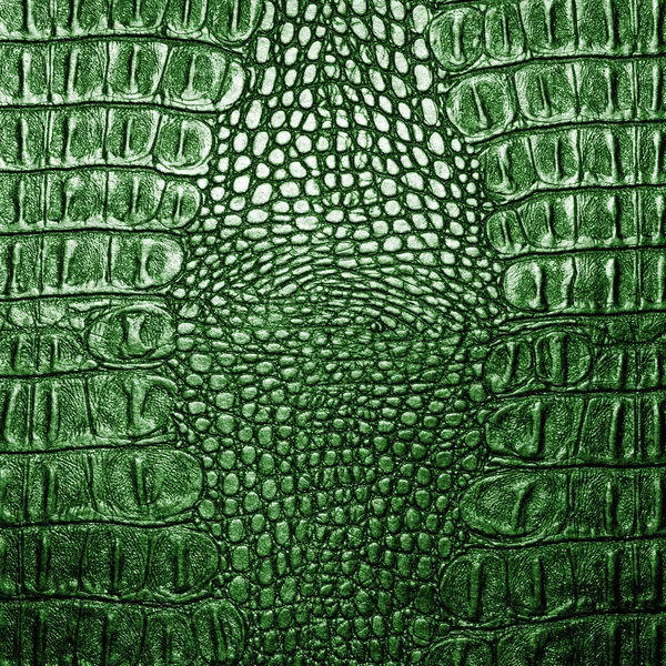 Green crocodile leather texture closeup background. — Stock Photo, Image