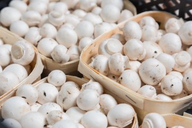 Bir üretim kutularındaki taze petrol