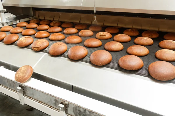 Heta bröd limpor ur ugnen — Stockfoto