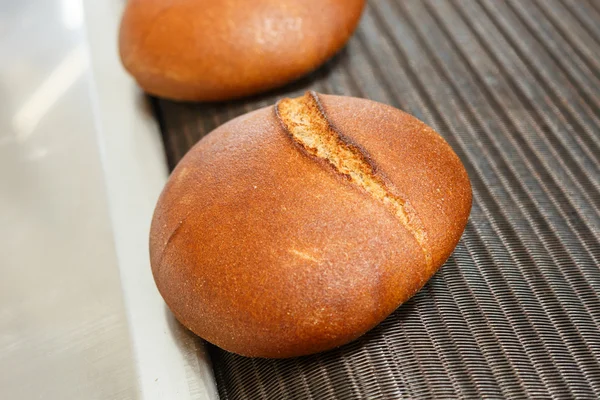 Heiß gebackene Brotlaibe auf einer Linie — Stockfoto