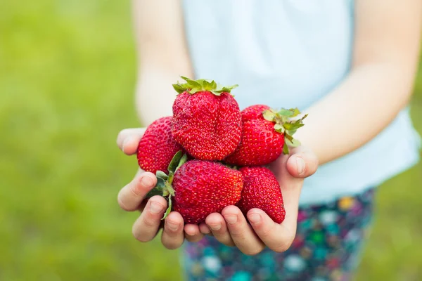 Handvol aardbeien in een kid's handen — Stockfoto