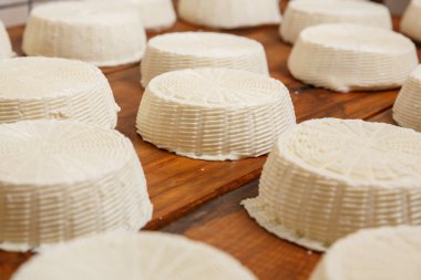 Tuzlu yumuşak Keçi peynir kafa 