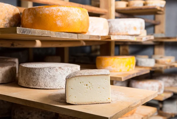 Κομμάτι του κεφαλιού μεγάλο κατσικίσιο τυρί — Φωτογραφία Αρχείου