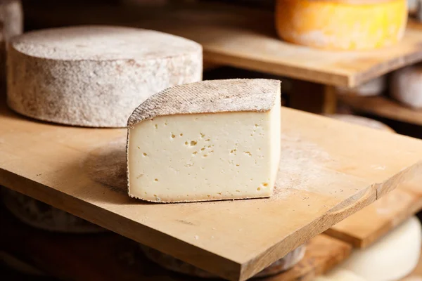 Piece of big goat cheese head — Stock Photo, Image