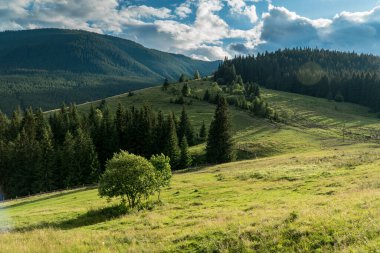 Ukrayna, Verkhovyna yakınlarındaki Karpatya dağlarının manzarası. Ukrayna 'da seyahat yerleri