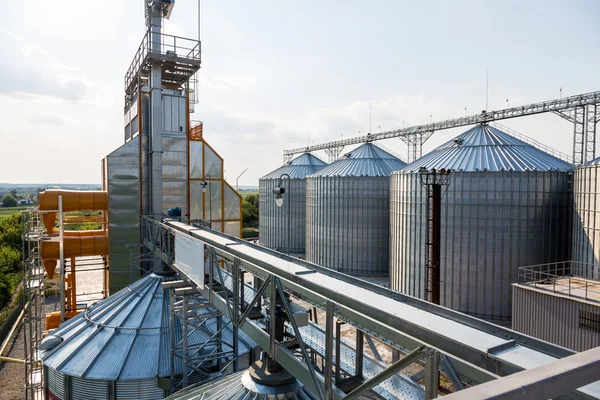 Grain elevator in rural zone — Stock Photo, Image