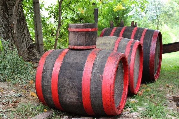 Velhos barris de vinho — Fotografia de Stock