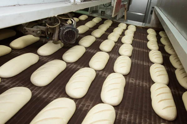 Loafs chleba surowego na linii — Zdjęcie stockowe