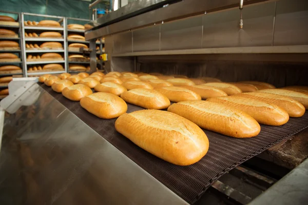 Warme gebakken brood op een regel — Stockfoto