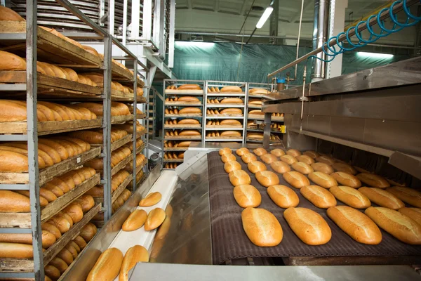 Warme gebakken brood op een regel — Stockfoto