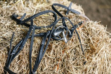 Taze bir tuğla üzerinde at donatımın saman