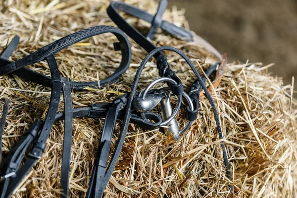 Uitrusting van het paard op een verse bakstenen van hooi — Stockfoto