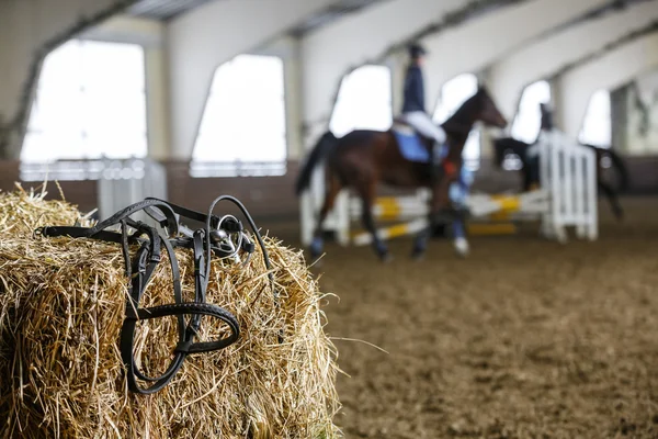 Horse equipment and dressage — Stock Photo, Image