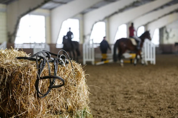 Horse equipment and dressage — Stock Photo, Image