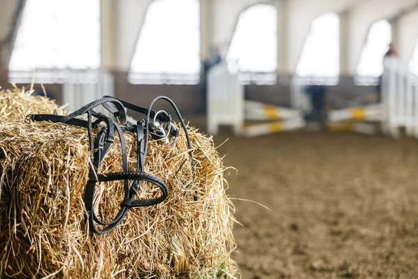 Horse equipment on a fresh bricks of hay — Stock Photo, Image
