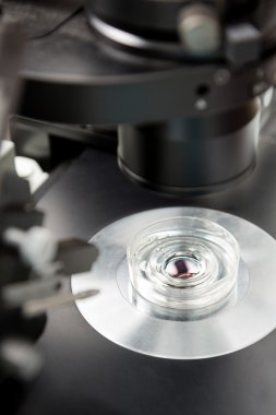 Laboratuvar örnek mikroskop altında