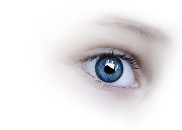 Синий глаз крупный план — стоковое фото