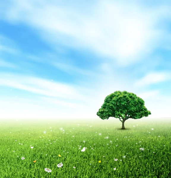 Summer, Landscape, Field, Sky, Tree, Grass, Flower And Butterfli