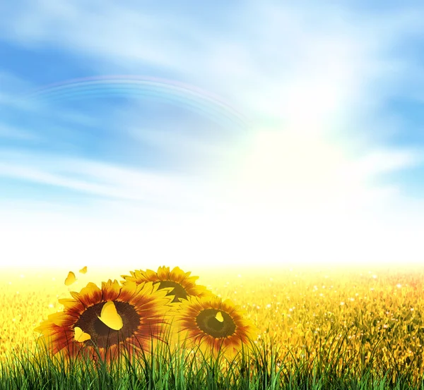 Été, Champ, Ciel, Soleil, Arc-en-ciel, Herbe, Tournesols — Image vectorielle