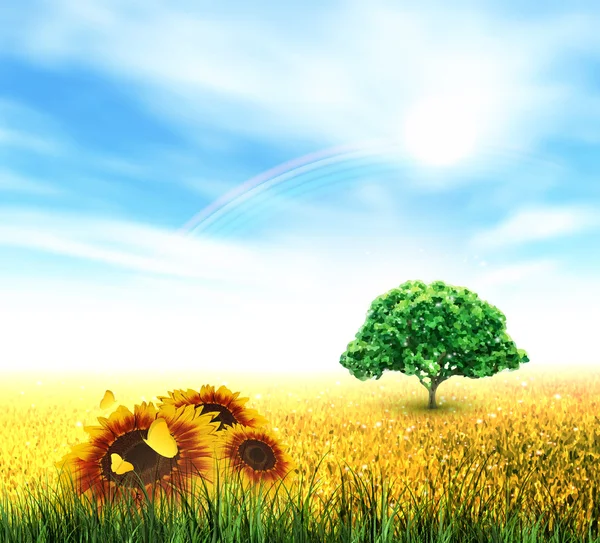 Лето, область, небо, солнце, радуга, дерево, трава, подсолнечники — стоковый вектор