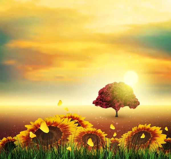 Summer, Field, Tree, Sky, Sun, Sunset, Grass, Sunflowers, Butter — Stock Vector