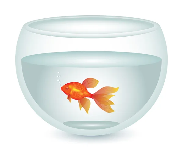 Aquarium avec poissons dorés — Image vectorielle