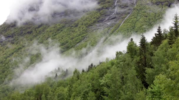 Bosque de montaña Niebla Noruega — Vídeos de Stock