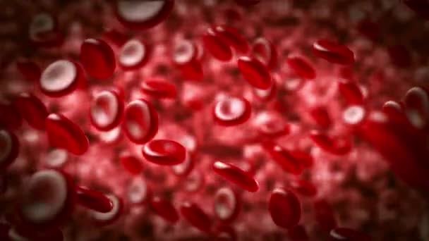 Os glóbulos vermelhos numa artéria. Hemácias em movimento na corrente sanguínea . — Vídeo de Stock