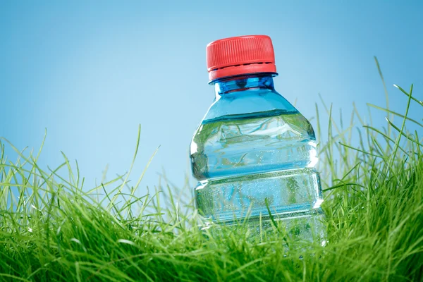 Su şişesi çim — Stok fotoğraf