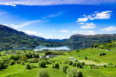 Güzel doğa Norveç.