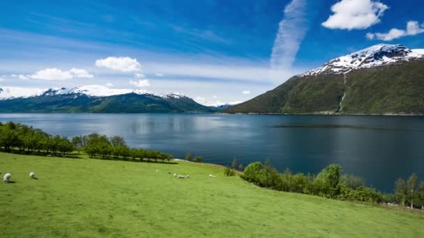 Schöne Natur Norwegen — Stockvideo