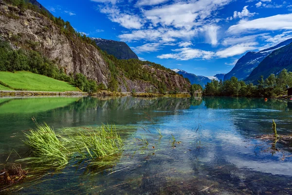 Indah Alam Norwegia . — Stok Foto